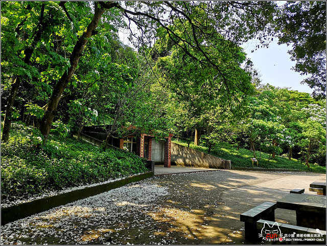 仁和步道桐花 - 058.jpg