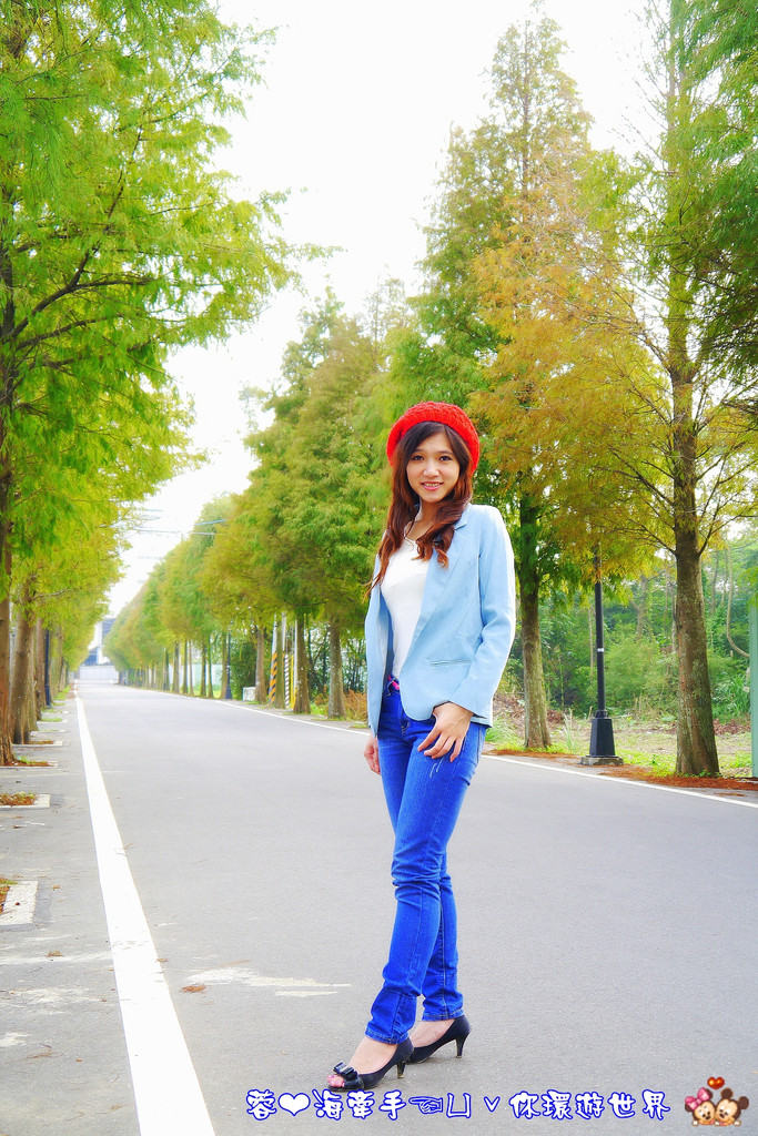 【桃園】不小心走進油畫的世界裡ღ落羽松園