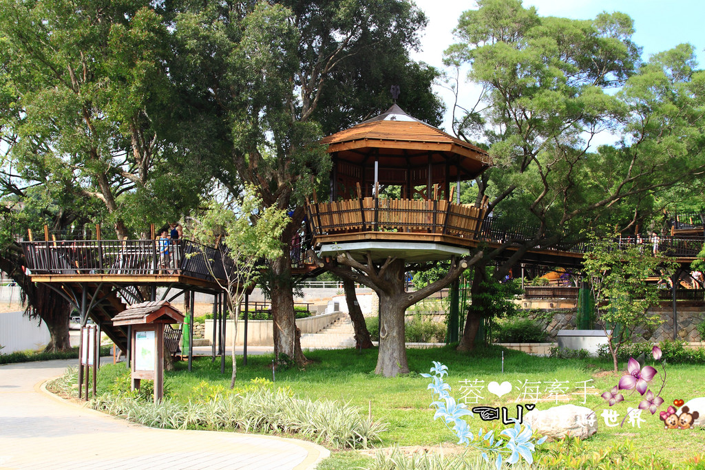 【桃園】不小心走進油畫的世界裡ღ落羽松園