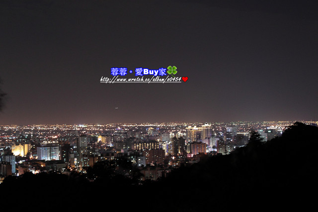 【桃園】不小心走進油畫的世界裡ღ落羽松園