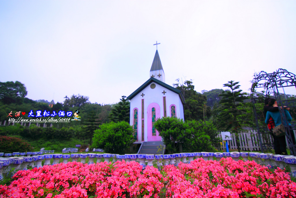 【桃園】不小心走進油畫的世界裡ღ落羽松園
