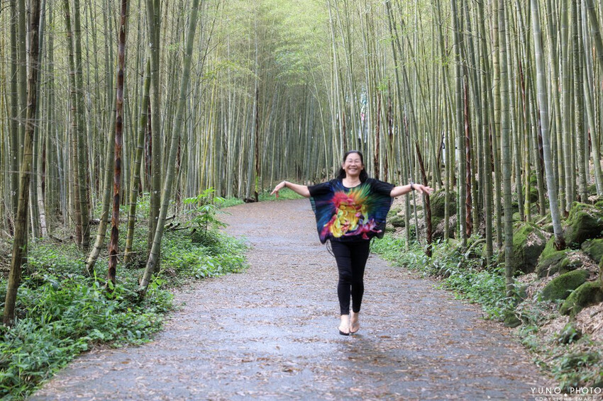 南投縣鹿谷鄉一泊二食原木住宿 享受天然森林浴 螢火蟲秘境無毒生態|金台灣山莊(南投、鹿谷、溪頭住宿推薦)