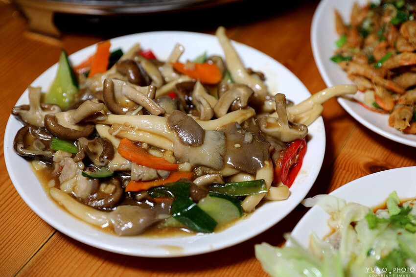 南投縣鹿谷鄉一泊二食原木住宿 享受天然森林浴 螢火蟲秘境無毒生態|金台灣山莊(南投、鹿谷、溪頭住宿推薦)