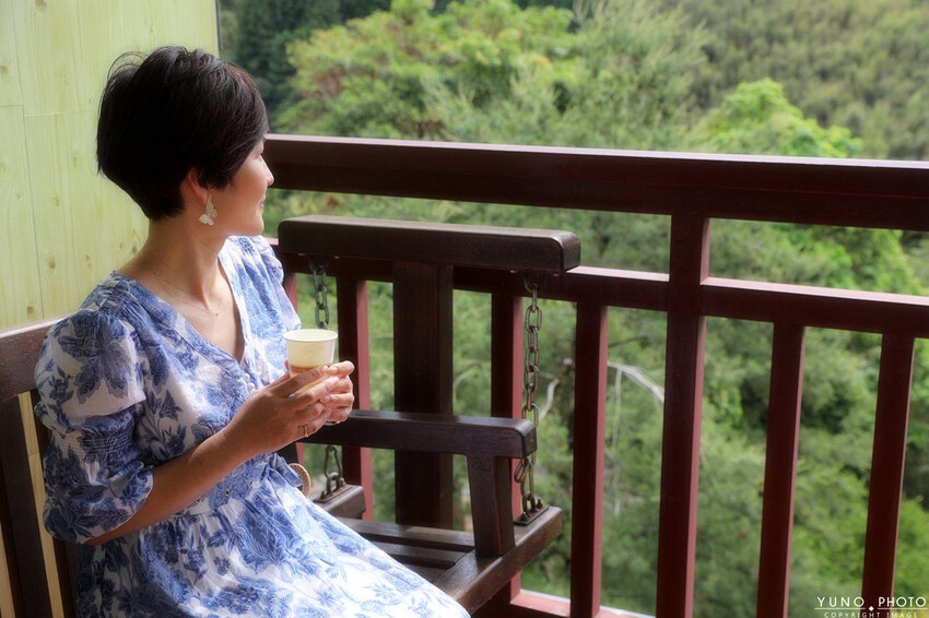 南投縣鹿谷鄉一泊二食原木住宿 享受天然森林浴 螢火蟲秘境無毒生態|金台灣山莊(南投、鹿谷、溪頭住宿推薦)