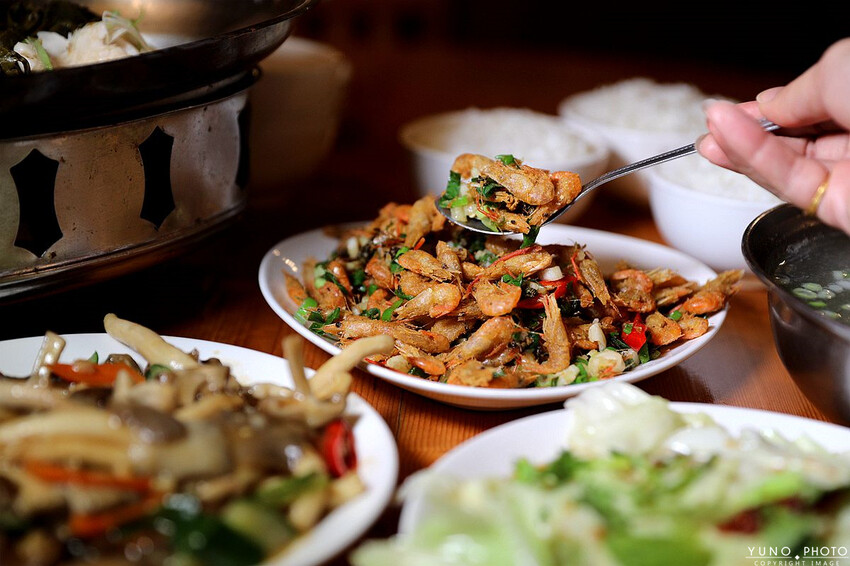 南投縣鹿谷鄉一泊二食原木住宿 享受天然森林浴 螢火蟲秘境無毒生態|金台灣山莊(南投、鹿谷、溪頭住宿推薦)