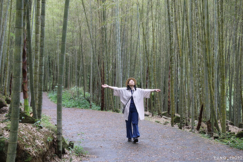 南投縣鹿谷鄉一泊二食原木住宿 享受天然森林浴 螢火蟲秘境無毒生態|金台灣山莊(南投、鹿谷、溪頭住宿推薦)