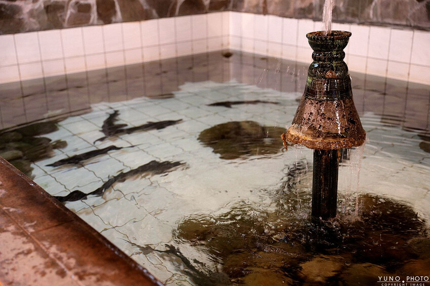 南投縣鹿谷鄉一泊二食原木住宿 享受天然森林浴 螢火蟲秘境無毒生態|金台灣山莊(南投、鹿谷、溪頭住宿推薦)