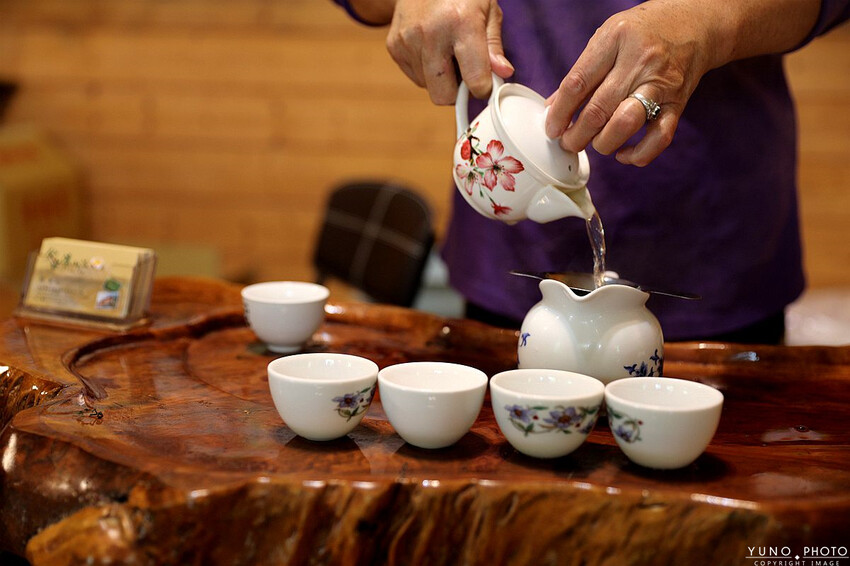 南投縣鹿谷鄉一泊二食原木住宿 享受天然森林浴 螢火蟲秘境無毒生態|金台灣山莊(南投、鹿谷、溪頭住宿推薦)