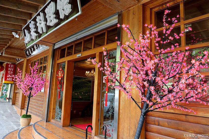 南投縣鹿谷鄉一泊二食原木住宿 享受天然森林浴 螢火蟲秘境無毒生態|金台灣山莊(南投、鹿谷、溪頭住宿推薦)