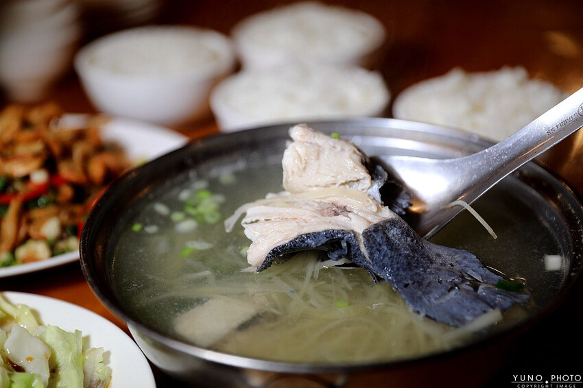 南投縣鹿谷鄉一泊二食原木住宿 享受天然森林浴 螢火蟲秘境無毒生態|金台灣山莊(南投、鹿谷、溪頭住宿推薦)