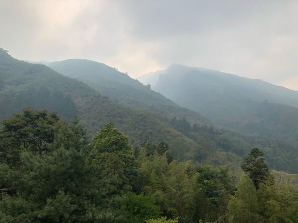 圓圓家出去玩—南投鹿谷《金台灣民宿山莊》ㄧ泊二食，與提著小燈籠的使者來場浪漫的約會！