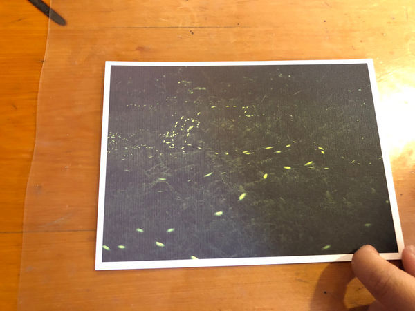 圓圓家出去玩—南投鹿谷《金台灣民宿山莊》ㄧ泊二食，與提著小燈籠的使者來場浪漫的約會！