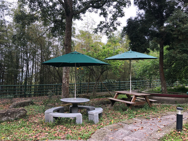 圓圓家出去玩—南投鹿谷《金台灣民宿山莊》ㄧ泊二食，與提著小燈籠的使者來場浪漫的約會！