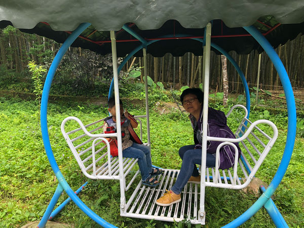 圓圓家出去玩—南投鹿谷《金台灣民宿山莊》ㄧ泊二食，與提著小燈籠的使者來場浪漫的約會！