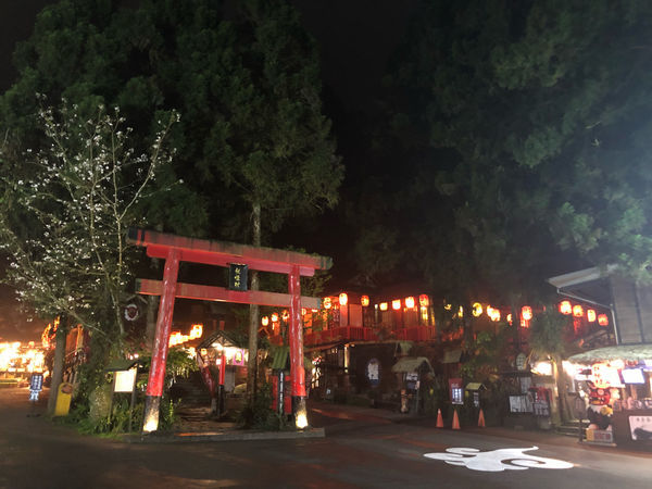 圓圓家出去玩—南投鹿谷《金台灣民宿山莊》ㄧ泊二食，與提著小燈籠的使者來場浪漫的約會！