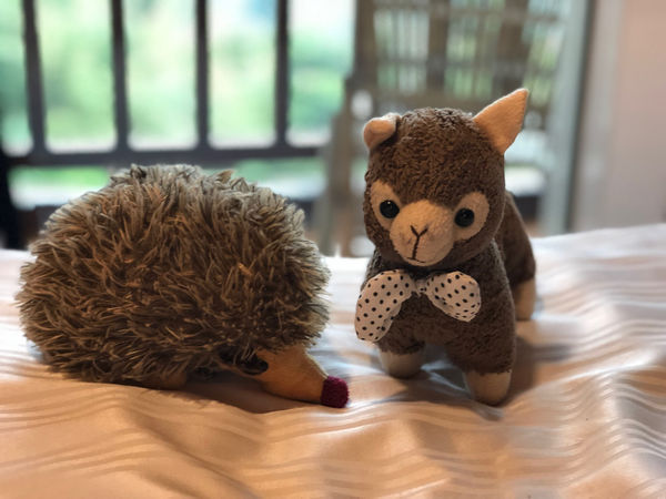 %E6%9C%AA%E5%91%BD%E5%90%8D