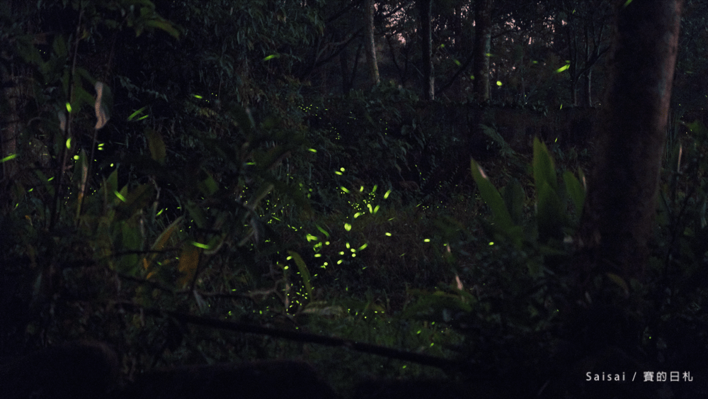 金台灣山莊 南投鹿谷民宿 螢火蟲 南投民宿 賽的日札 妖怪村 0037-min.png