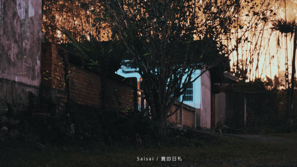 金台灣山莊 南投鹿谷民宿 螢火蟲 南投民宿 賽的日札 妖怪村 0038-min.png