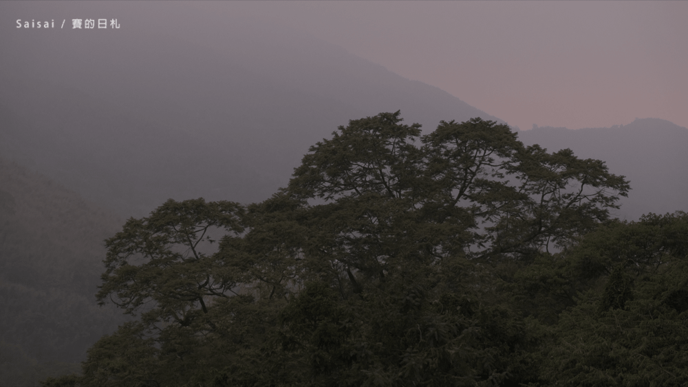 金台灣山莊 南投鹿谷民宿 螢火蟲 南投民宿 賽的日札 妖怪村 9995-min.png