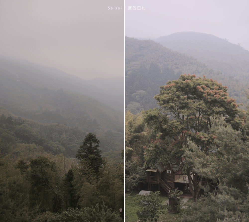 金台灣山莊 南投鹿谷民宿 螢火蟲 南投民宿 賽的日札 妖怪村 9980-min.png