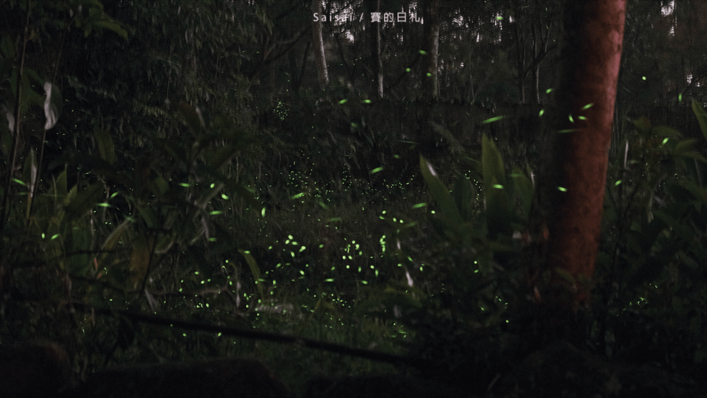 金台灣山莊 南投鹿谷民宿 螢火蟲 南投民宿 賽的日札 妖怪村 0035-min.png