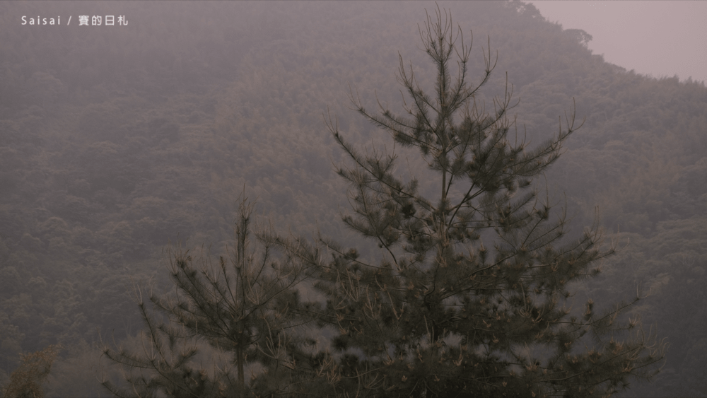 金台灣山莊 南投鹿谷民宿 螢火蟲 南投民宿 賽的日札 妖怪村 9994-min.png