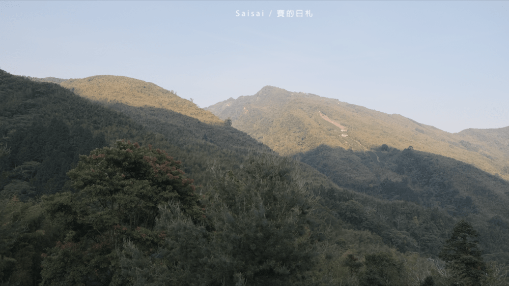 金台灣山莊 南投鹿谷民宿 螢火蟲 南投民宿 賽的日札 妖怪村 0060-min.png