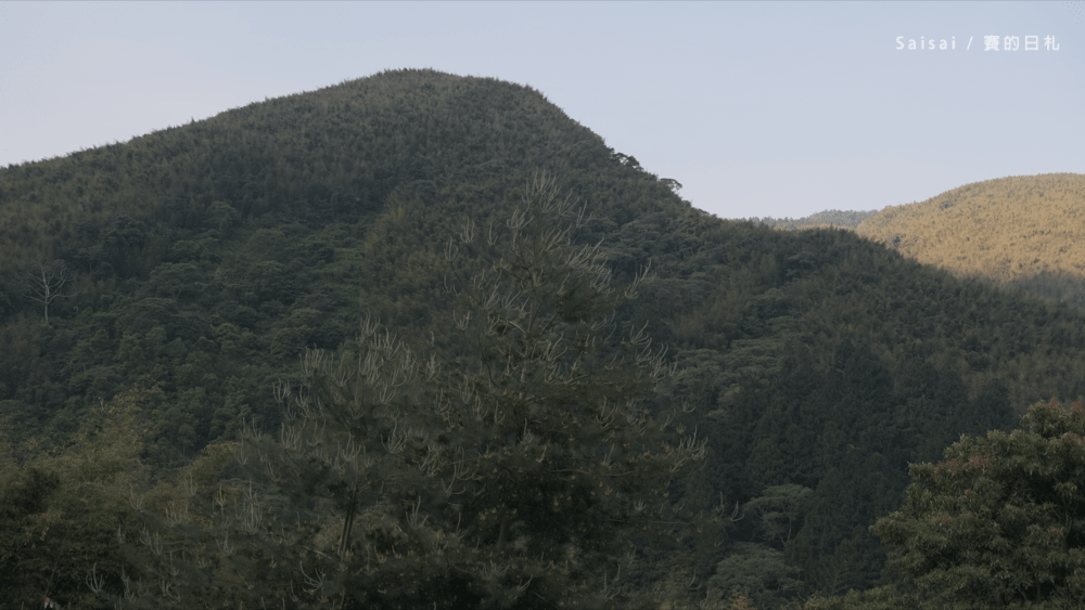 金台灣山莊 南投鹿谷民宿 螢火蟲 南投民宿 賽的日札 妖怪村 0067-min.png