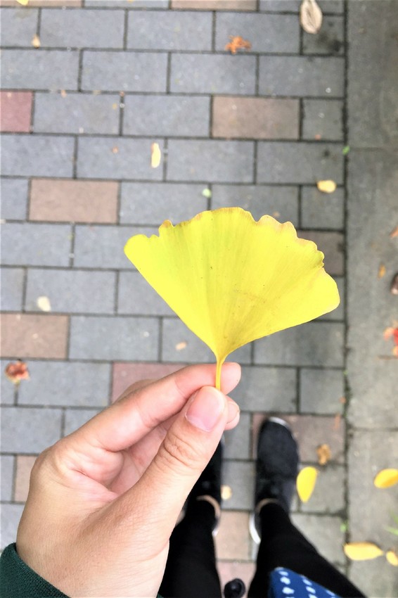 【南投親子旅遊】金台灣小木屋讓我們彷彿置身桃花源！帶著家人一起來場愜意的秋冬親子旅遊！