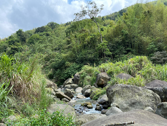 暑假親子旅遊月將近！還沒規劃好親子旅遊行嗎？南投親子旅遊懶人包在這！