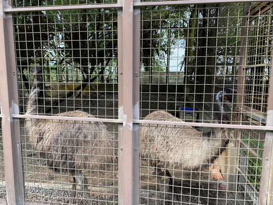 暑假親子旅遊月將近！還沒規劃好親子旅遊行嗎？南投親子旅遊懶人包在這！