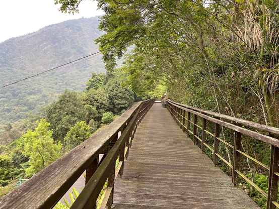 暑假親子旅遊月將近！還沒規劃好親子旅遊行嗎？南投親子旅遊懶人包在這！