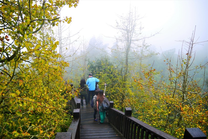【南投親子旅遊】金台灣小木屋讓我們彷彿置身桃花源！帶著家人一起來場愜意的秋冬親子旅遊！