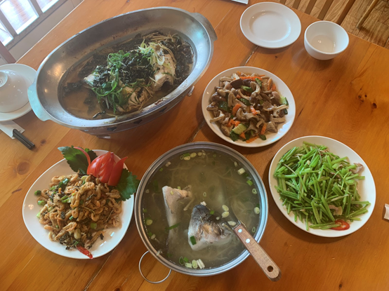 暑假親子旅遊月將近！還沒規劃好親子旅遊行嗎？南投親子旅遊懶人包在這！