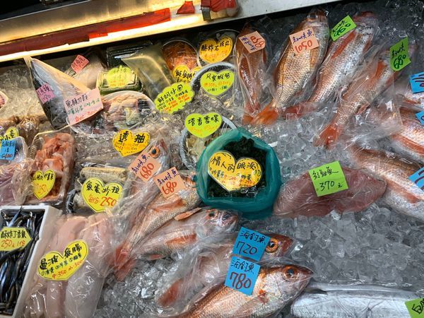 1110_191123_0010 1110_191123_0010