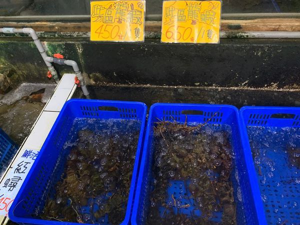 1110_191123_0008 1110_191123_0008