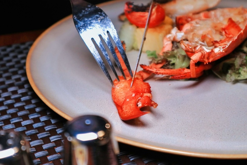 2019-08-26 04.03.44 3.jpg