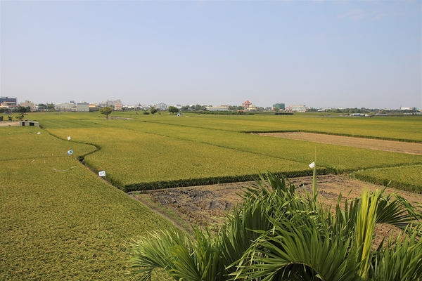 大村進昌咖啡烘焙館：【彰化大村景點】進昌咖啡烘焙館~巴洛克式建築，彷彿來到歐風的城堡，享用美味尊貴的下午茶