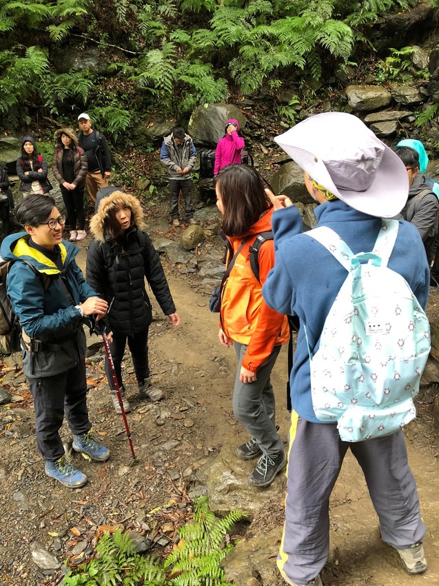 【山林秘境_司馬庫斯_上帝的部落_鎮西堡_神木的故鄉】|台灣_新竹縣_國內旅遊