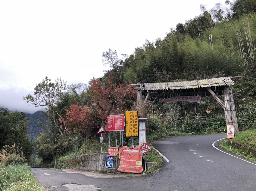 【山林秘境_司馬庫斯_上帝的部落_鎮西堡_神木的故鄉】|台灣_新竹縣_國內旅遊