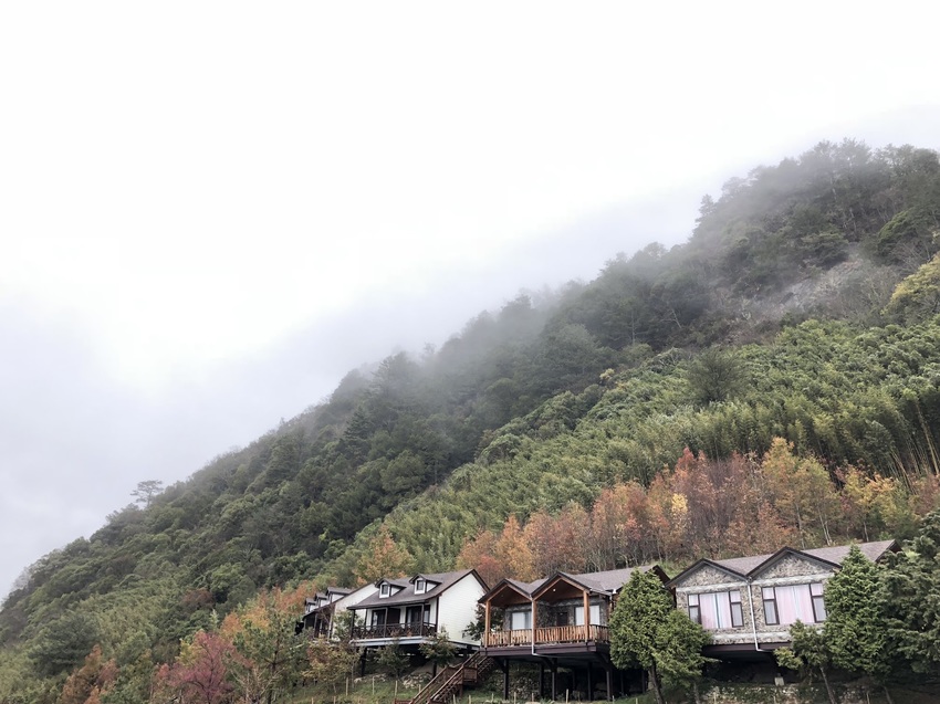 【山林秘境_司馬庫斯_上帝的部落_鎮西堡_神木的故鄉】|台灣_新竹縣_國內旅遊