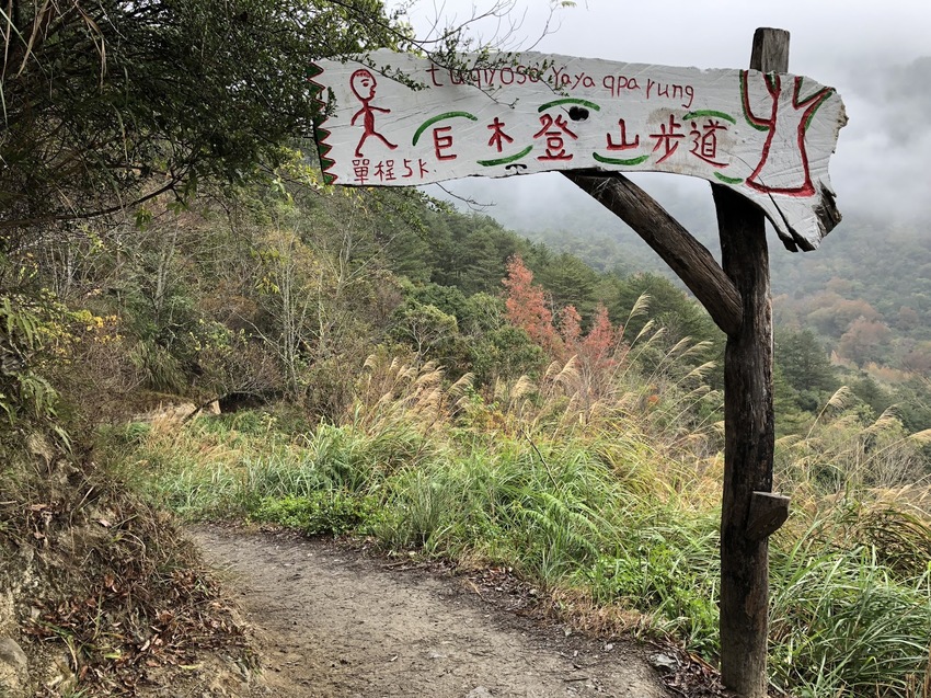 【山林秘境_司馬庫斯_上帝的部落_鎮西堡_神木的故鄉】|台灣_新竹縣_國內旅遊