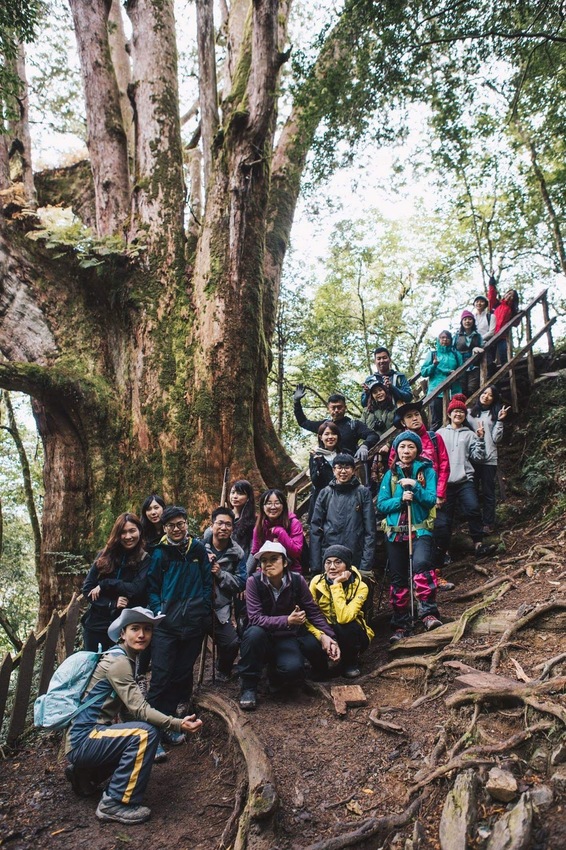 【山林秘境_司馬庫斯_上帝的部落_鎮西堡_神木的故鄉】|台灣_新竹縣_國內旅遊