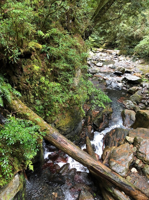 【山林秘境_司馬庫斯_上帝的部落_鎮西堡_神木的故鄉】|台灣_新竹縣_國內旅遊