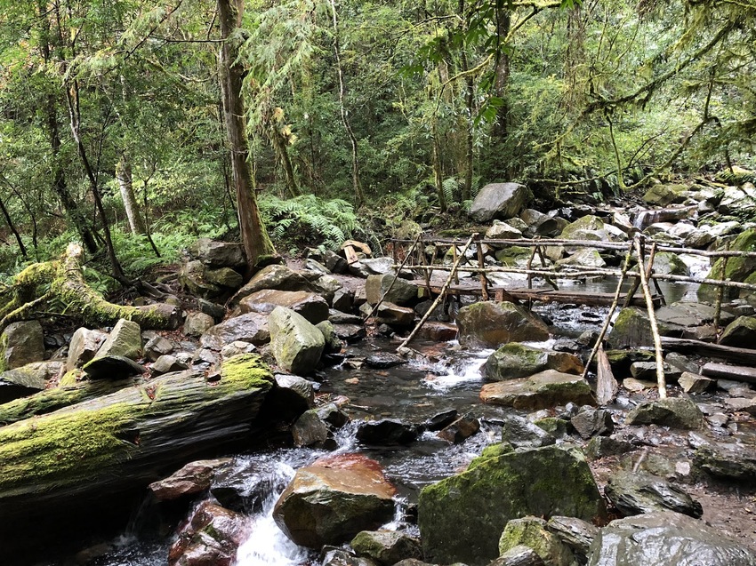 【山林秘境_司馬庫斯_上帝的部落_鎮西堡_神木的故鄉】|台灣_新竹縣_國內旅遊