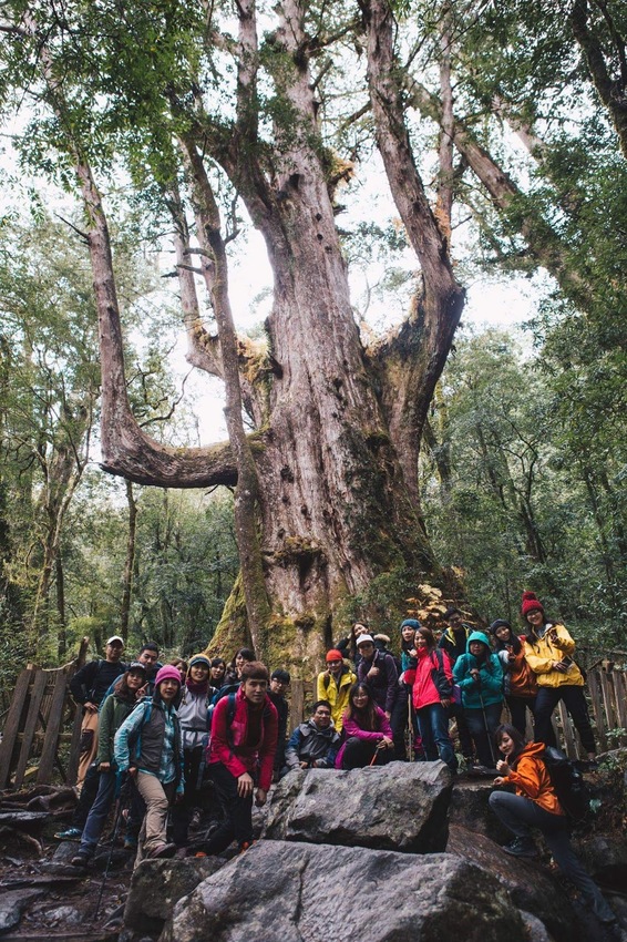 【山林秘境_司馬庫斯_上帝的部落_鎮西堡_神木的故鄉】|台灣_新竹縣_國內旅遊