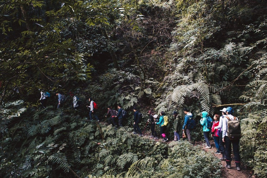 【山林秘境_司馬庫斯_上帝的部落_鎮西堡_神木的故鄉】|台灣_新竹縣_國內旅遊