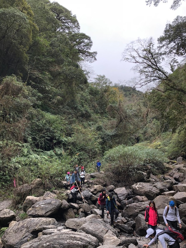 【山林秘境_司馬庫斯_上帝的部落_鎮西堡_神木的故鄉】|台灣_新竹縣_國內旅遊
