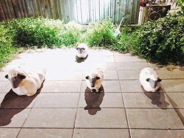 20170922_Snapseed (3).jpg