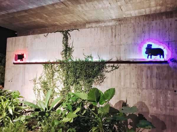 20170922_Snapseed (10).jpg